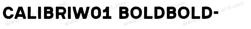 CalibriW01 BoldBold字体转换